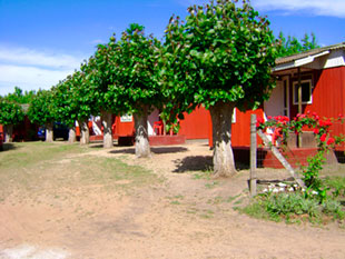 Cabañas La Playa