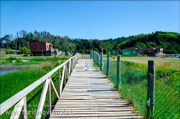 Terrazas de Curaquilla