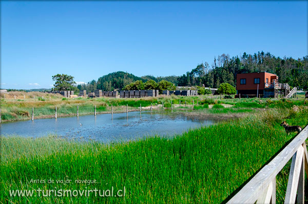 Terrazas de Curaquilla