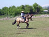 Domadura de caballos en Peaflor